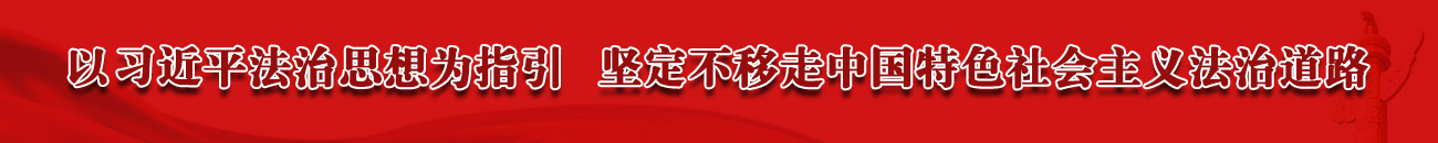 以习近平法治思想为指引  坚定不移走中国特色社会主义法治道路