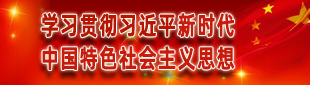 学习贯彻习近平新时代中国特色社会主义思想